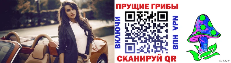 Галлюциногенные грибы Psilocybe Заречный