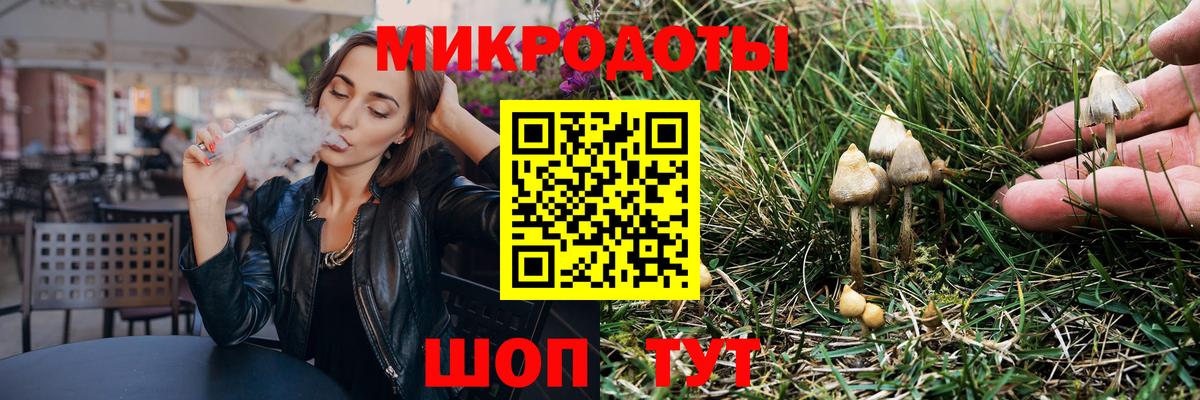 Псилоцибиновые грибы мицелий  Вход с VPN  Заречный 